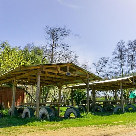 Coyunche Cabanas Y Camping Laja & San Rosendo エクステリア 写真