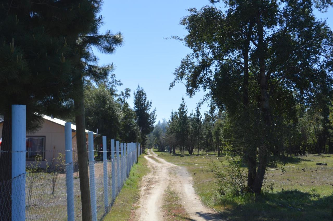 Coyunche Cabanas Y Camping Laja & San Rosendo エクステリア 写真