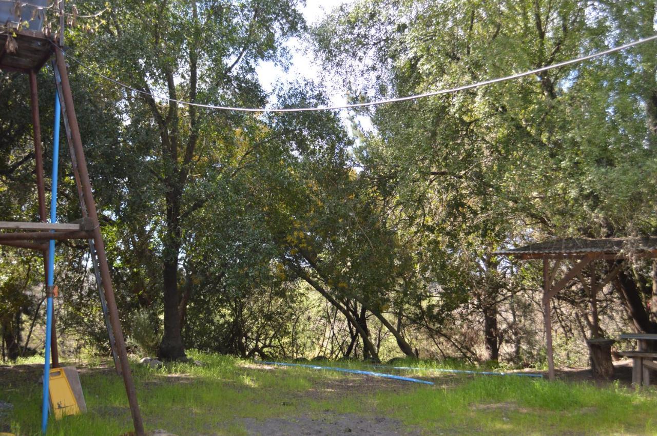 Coyunche Cabanas Y Camping Laja & San Rosendo エクステリア 写真