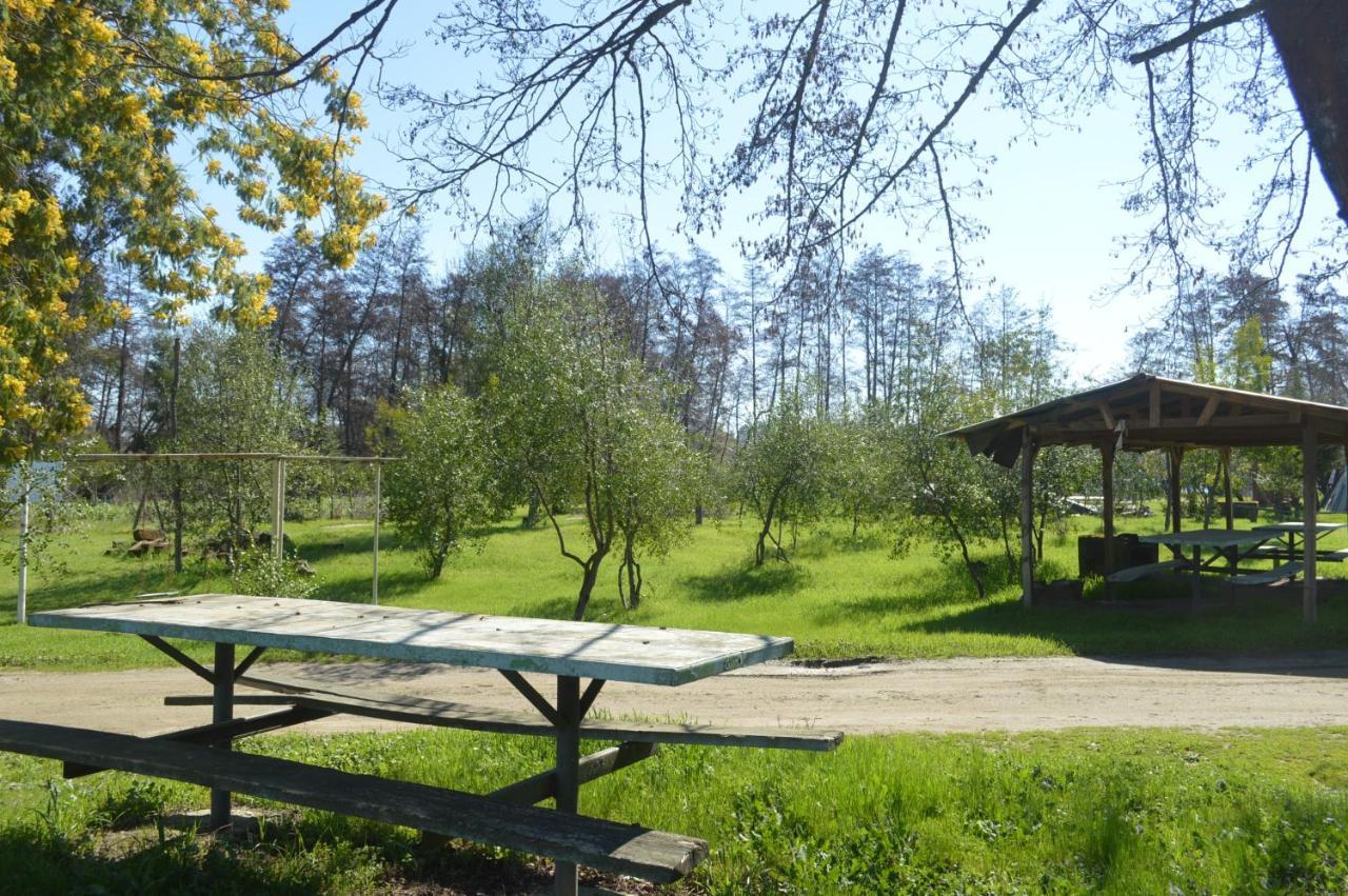 Coyunche Cabanas Y Camping Laja & San Rosendo エクステリア 写真