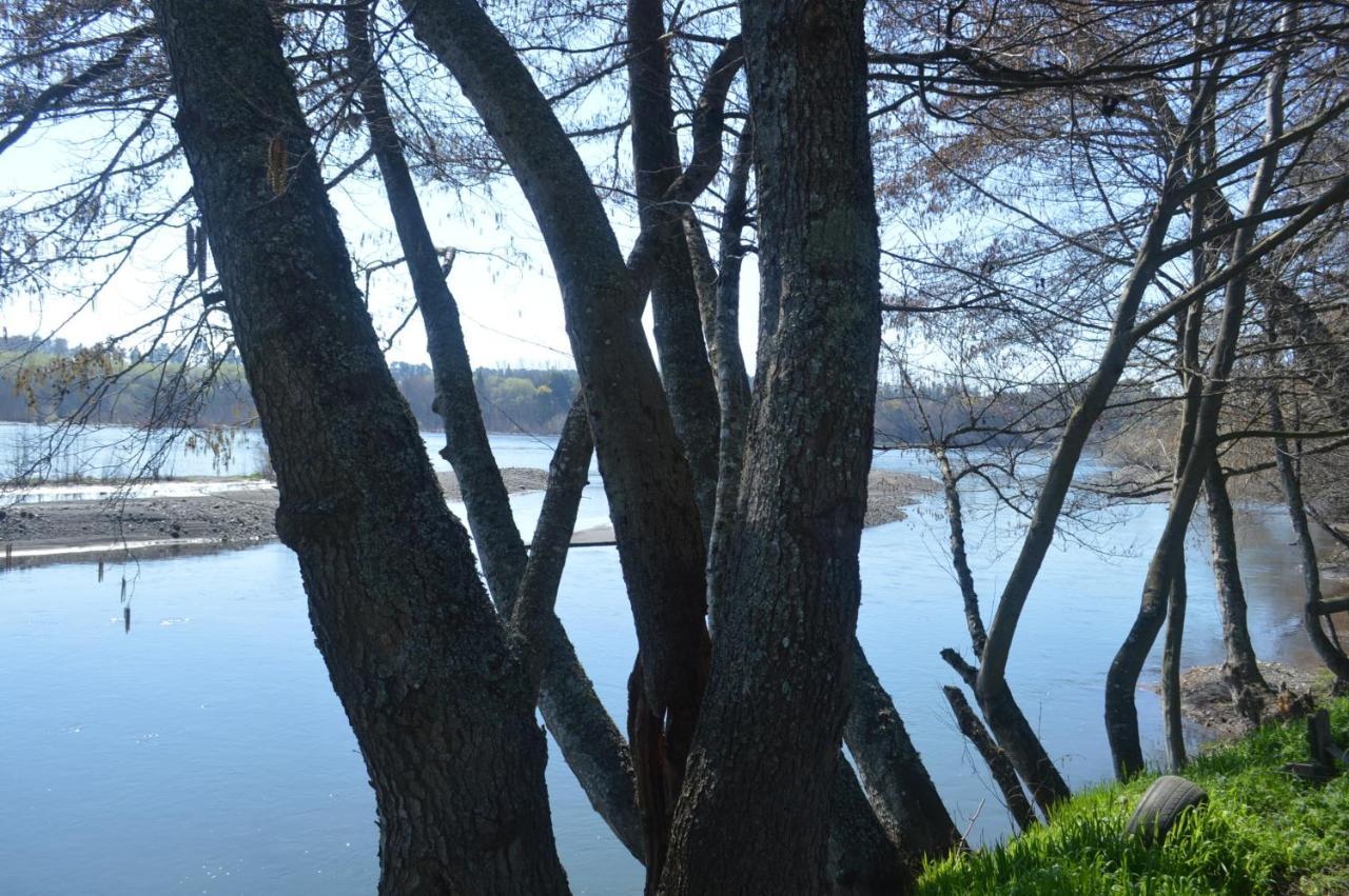 Coyunche Cabanas Y Camping Laja & San Rosendo エクステリア 写真