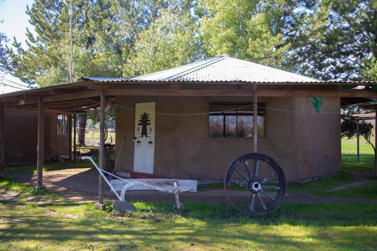 Coyunche Cabanas Y Camping Laja & San Rosendo エクステリア 写真