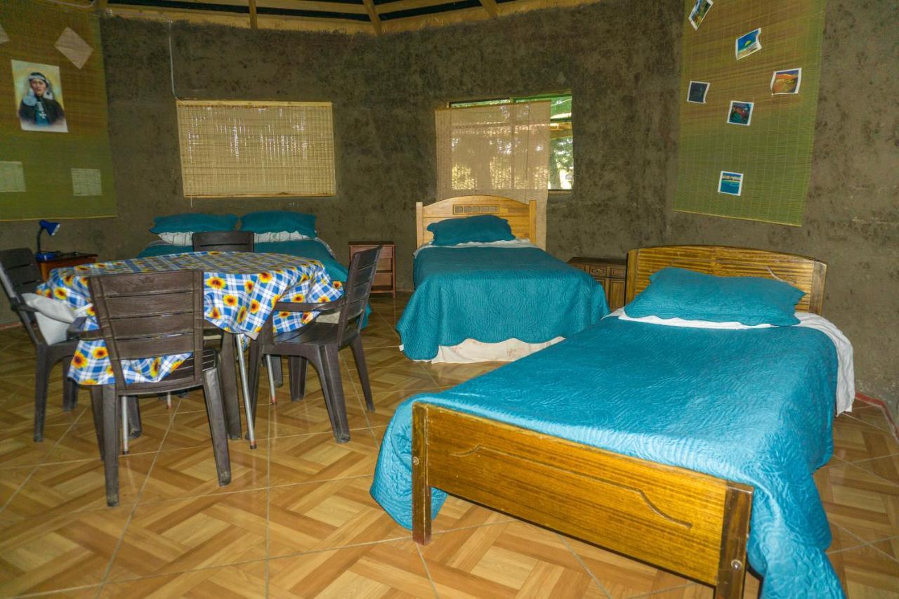 Coyunche Cabanas Y Camping Laja & San Rosendo エクステリア 写真