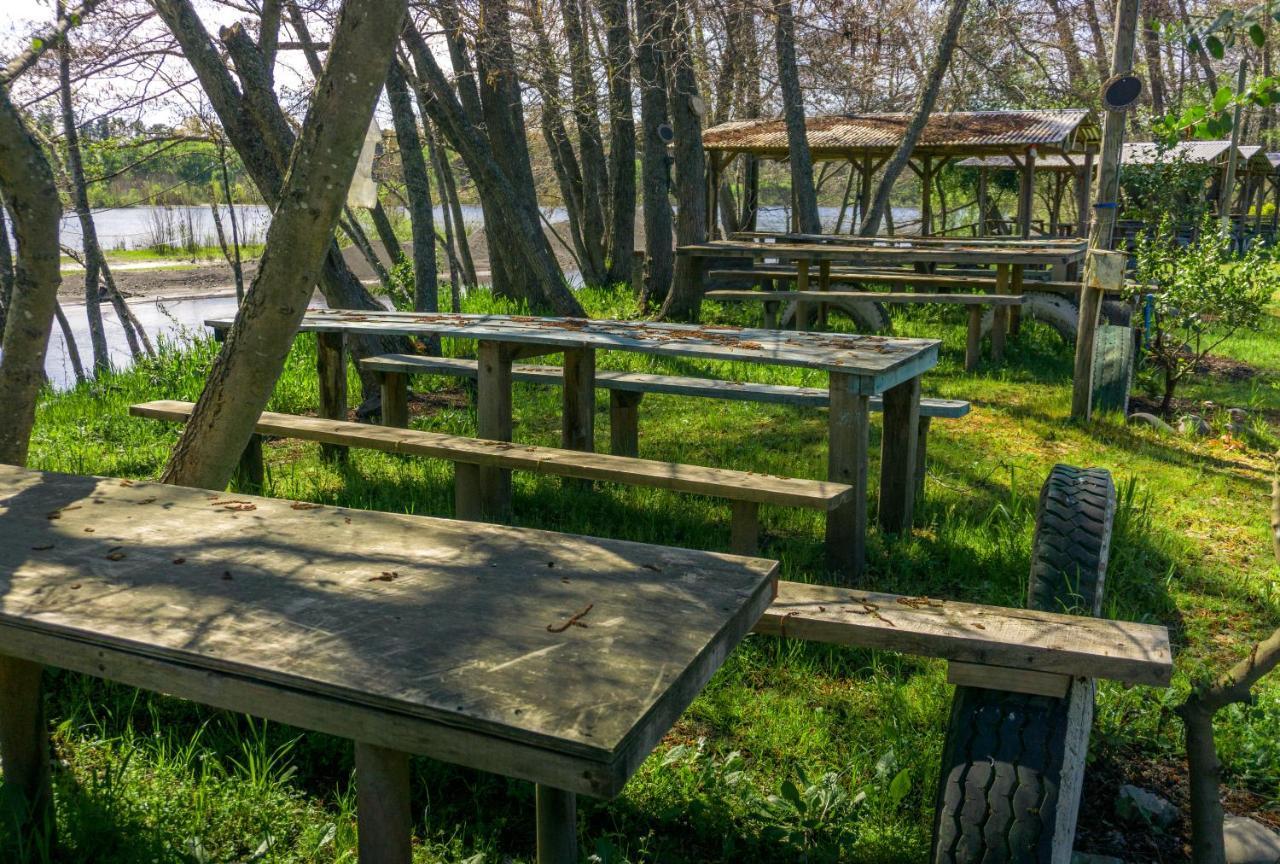 Coyunche Cabanas Y Camping Laja & San Rosendo エクステリア 写真